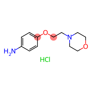 4-[2-(4-Morpholinyl)ethoxy]aniline dihydrochloride
