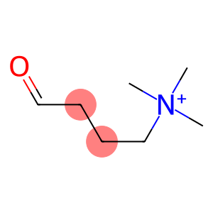 gamma-trimethylaminobutyraldehyde