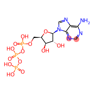 9-beta-xylofuranosyladenine 5'-triphosphate