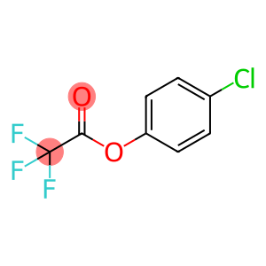 Acetic acid, 2,2,2-trifluoro-, 4-chlorophenyl ester