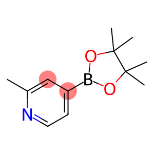 2-METHYLPYRIDINE-4-BORONIC ACID PINACOL ESTER