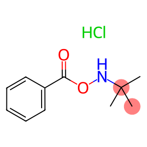 O-Benzoyl-n-tert-butylhydroxylamine HCl