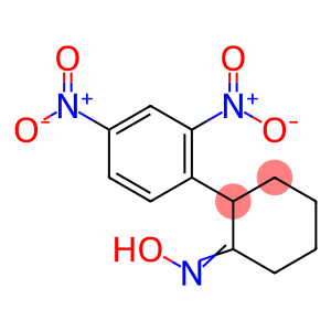 N-[(1Z)-2-(2,4-dinitrophenyl)cyclohexylidene]hydroxylamine