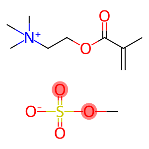 N,N,N-Trimethyl-2-(1-oxo-2-methyl-2-propenyloxy)ethanaminium methyl sulfate