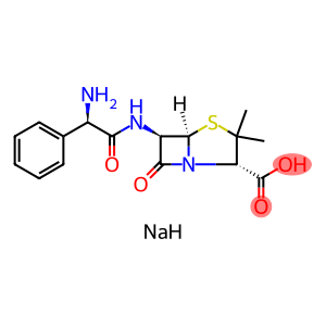 d-(-)-alpha-aminobenzylpenicillin sodium salt