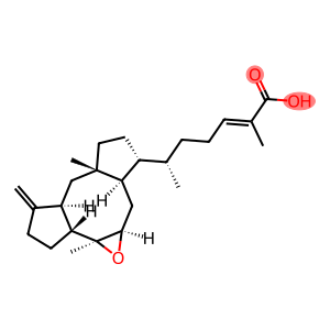 (6α,10β,11α)-7,8α-Epoxyophiobola-3(24),19-dien-21-oic acid
