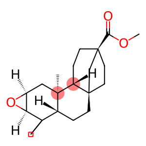17-Norkaurane-13-carboxylic acid, 2,3-epoxy-, methyl ester, (2β,3β,8β,13β)- (9CI)