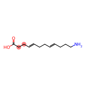 12-aminododeca-4,8-dienoic acid