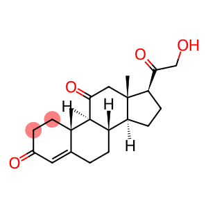 11-dehydrocorticosterone crystalline