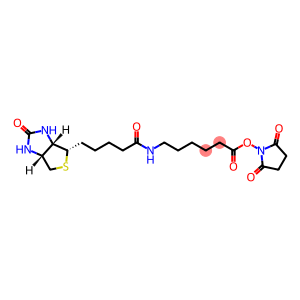 D-BIOTINOYL-EPSILON-AMINOCAPROIC ACID-N-HYDROXYSUCCINIMIDE ESTER