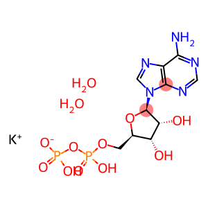 5ˊ-二磷酸腺苷一钾盐