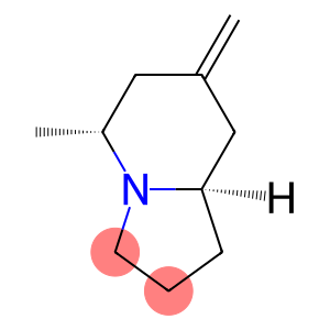 Indolizine, octahydro-5-methyl-7-methylene-, (5R,8aR)- (9CI)