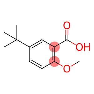 5-叔丁基-2-甲氧基苯酸