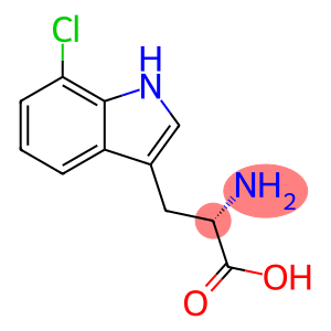 (S)-2-Amino-3-(7-chloro-1H-indol-3-yl)propanoic acid