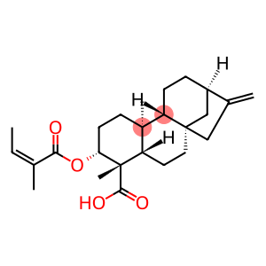 3ALPHA-当归酰基氧基-等效-贝壳杉-16-烯酸