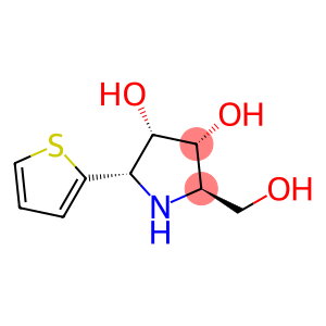 3,4-Pyrrolidinediol, 2-(hydroxymethyl)-5-(2-thienyl)-, (2R,3R,4S,5S)- (9CI)