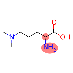 Ornithine, N5,N5-dimethyl- (9CI)