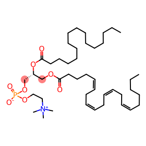 2-arachidonoyl-1-palmitoyl-sn-glycero-3-phosphocholine