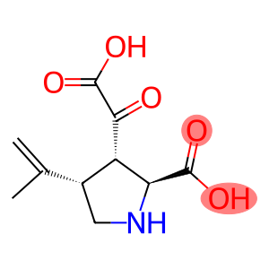 alpha-ketokainic acid