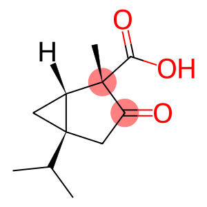 Bicyclo[3.1.0]hexane-2-carboxylic acid, 2-methyl-5-(1-methylethyl)-3-oxo-, (1S,2S,5S)- (9CI)