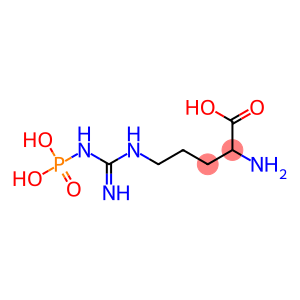 2-Amino-5-[[imino(phosphonoamino)methyl]amino]pentanoic acid
