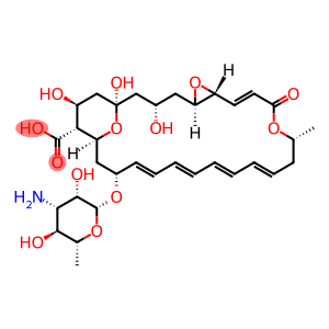 (1R*,3S*,5R*,7R*,8E,12R*,14E,16E,18E,20E,22R*,24S*,25R*,26S*)]-22-[(3-Amino-3,6-dideoxy-β-D-mannopyranosyl)oxy]-1,3,26-trihydroxy-12-methyl-10-oxo-6,11,28-trioxatricyclo[22.3.1.05,7]octacosa-8,14,16,18,20-pentaene-25-carboxylic acid