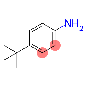 4-叔-丁基苯胺