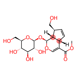 (1S)-1-(β-D-Glucopyranosyloxy)-1,4aα,7,7aα-tetrahydro-7α-hydroxymethylcyclopenta[c]pyran-4-carboxylic acid methyl ester