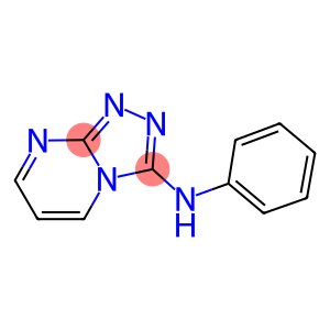 N-phenyl-N-[1,2,4]triazolo[4,3-a]pyrimidin-3-ylamine