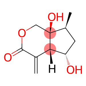 Cyclopenta[c]pyran-3(1H)-one, hexahydro-5,7a-dihydroxy-7-methyl-4-methylene-, (4aS,5S,7S,7aS)- (9CI)