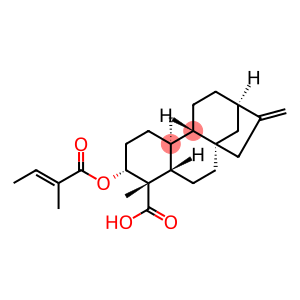 ent-3β-Tigloyloxykaur-16-en-19-oic acid