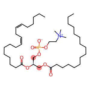多烯磷脂酰胆碱