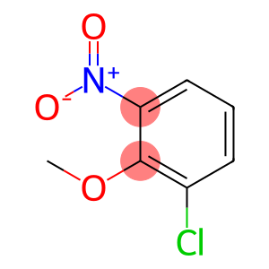 1-氯-2-甲氧基-3-硝基-苯