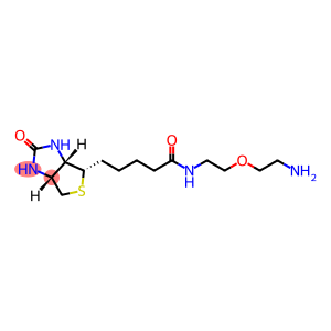 生物素-二聚乙二醇-氨基