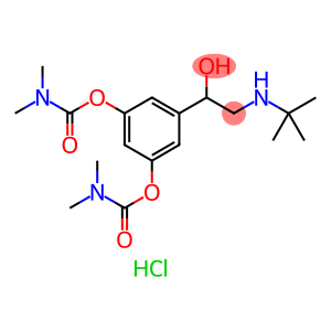 Bambuterol monohydrochloride
