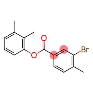 2,3-dimethylphenyl 3-bromo-4-methylbenzoate