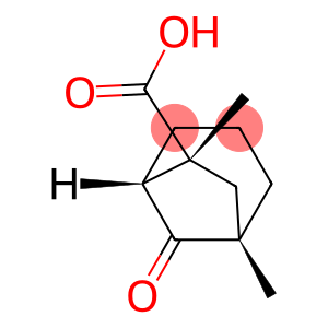 Bicyclo[3.2.1]octane-6-carboxylic acid, 1,6-dimethyl-8-oxo-, (1R,5S,6S)-rel- (9CI)