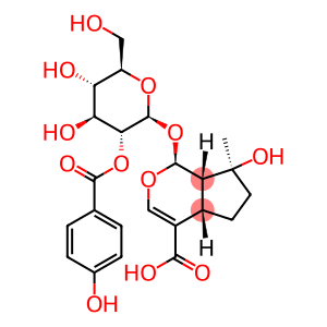 (1S,4aS,7S,7aS)-1,4a,5,6,7,7a-Hexahydro-7-hydroxy-1-[[2-O-(4-hydroxybenzoyl)-β-D-glucopyranosyl]oxy]-7-methyl-cyclopenta[c]pyran-4-carboxylic acid