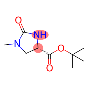 (4S)-1-Methyl-2-oxo-4-imidazolidinecarboxylic Acid, tert-Butyl Ester