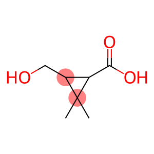 2,2-dimethyl-3-hydroxymethyl-cyclopropane-1-carboxylic acid