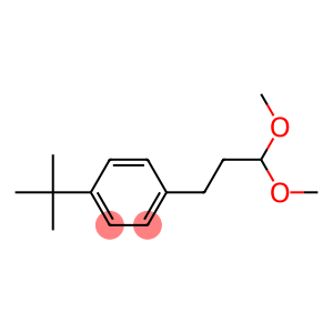 4-tert-butyl-1-(3,3-dimethoxypropyl)benzene