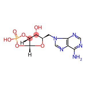5'-(6-aminopurin-9-yl)-5'-deoxyribofuranose 1',2'-cyclic monophosphate