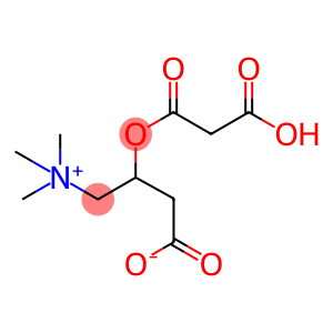 (3S)-3-(3-hydroxy-3-oxopropanoyl)oxy-4-trimethylazaniumylbutanoate
