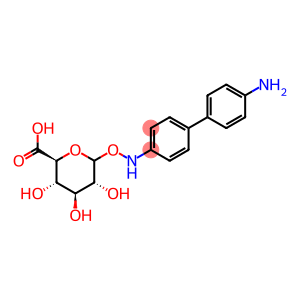 benzidine N-glucuronide