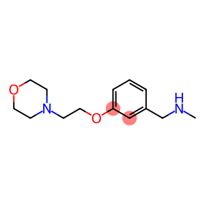 N-METHYL-N-[3-(2-MORPHOLIN-4-YLETHOXY)BENZYL]AMINE