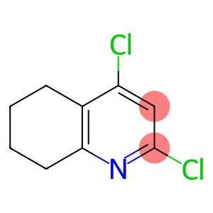 2,4-dichloro-4a,5,6,7,8,8a-hexahydroquinoline