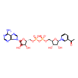 acetyldiphosphopyridine nucleotide