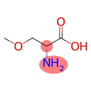 O-Methyl-D-serine, (S)-2-Amino-3-methoxypropanoic acid