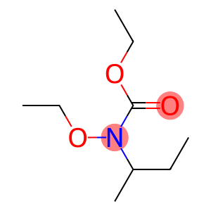 Carbamic  acid,  N-sec-butyl-N-ethoxy-,  ethyl  ester  (1CI)