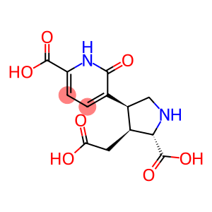 1,2-Dihydro-2-oxo-3-[(3S)-4α-(carboxymethyl)-5β-carboxypyrrolidin-3α-yl]pyridine-6-carboxylic acid